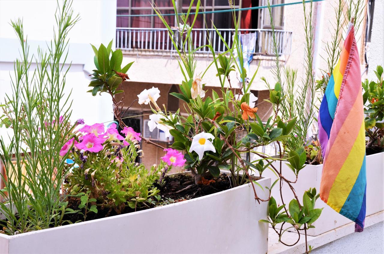 Guest house Bhouse Tel Aviv Tel Aviv