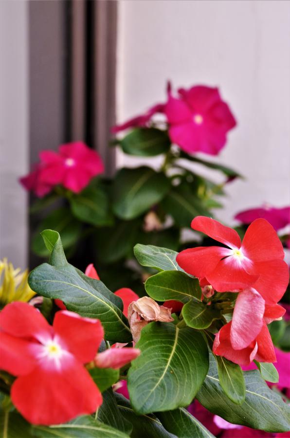 Bhouse Tel Aviv Guest house 3*